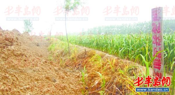2011年底一名孩子在三輪車上趕作業。一年半過去了，這樣的場景仍隨處可見。