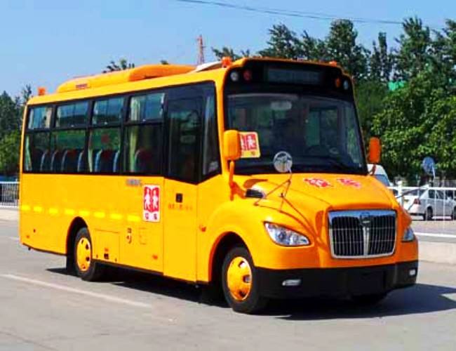 2020年四川省校車(chē)安全管理?xiàng)l例
