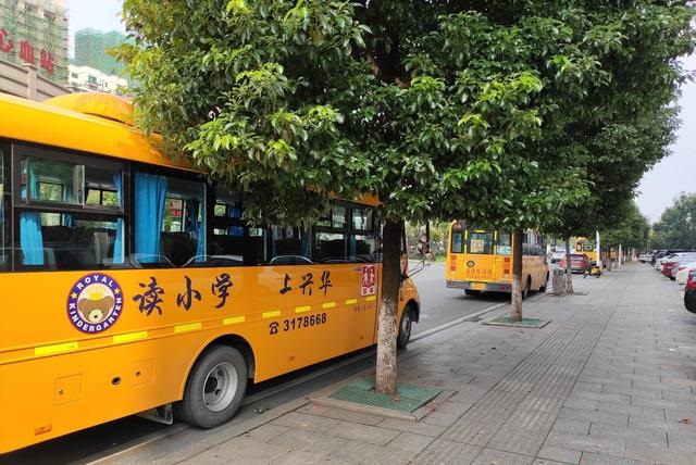 衡陽：向不文明行為說“不”，天臺路校車扎堆亂停 導致交通混亂