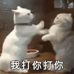 交警集中嚴查校車，“問題”車輛立即整改！孩子乘坐校車要注意十個細節……