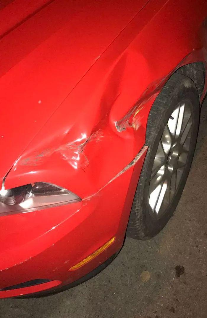 校車肇事逃逸，卻萬萬沒想到被這個人檢舉了